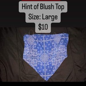 Hint of blush top, Size: Large